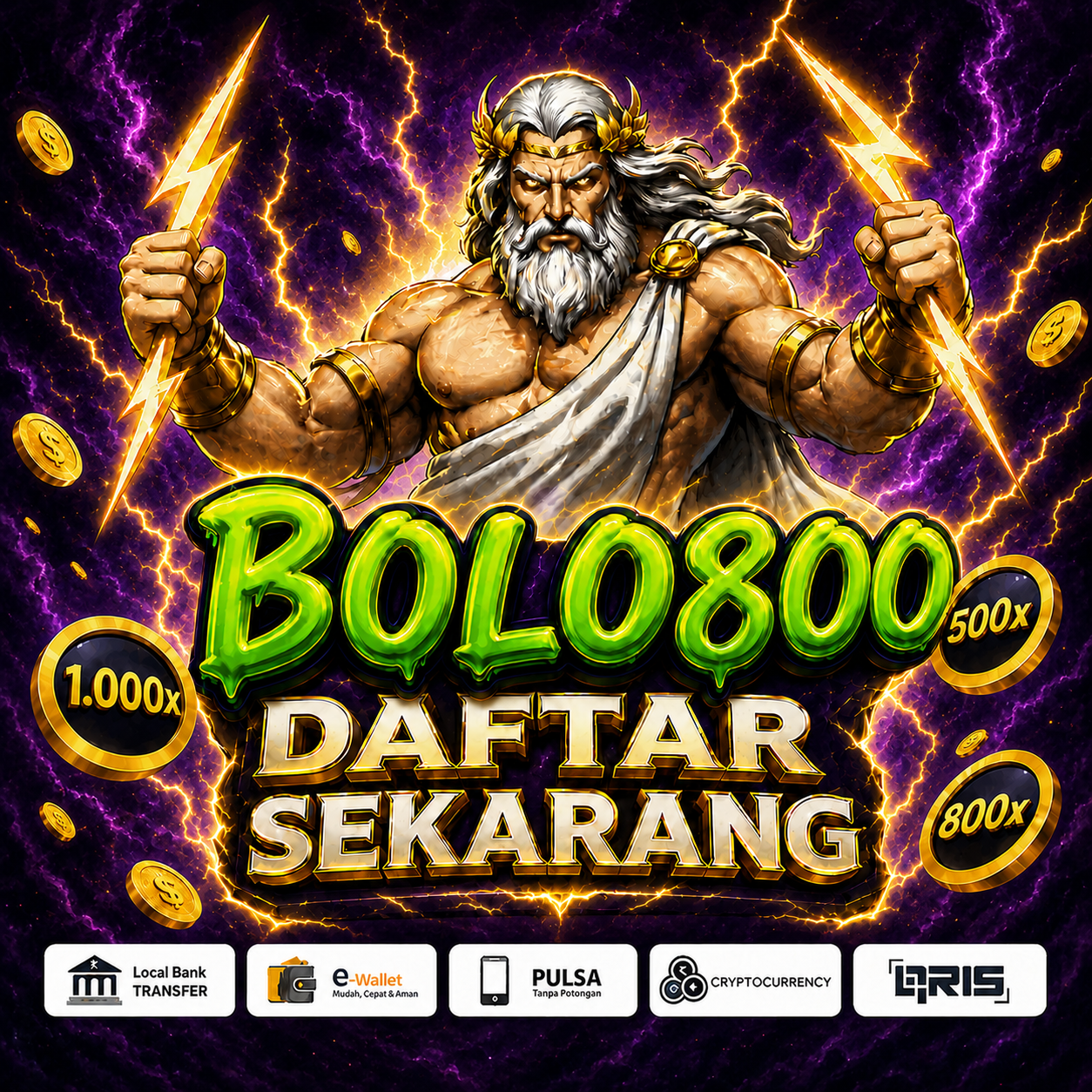 BOLO800 preview 1